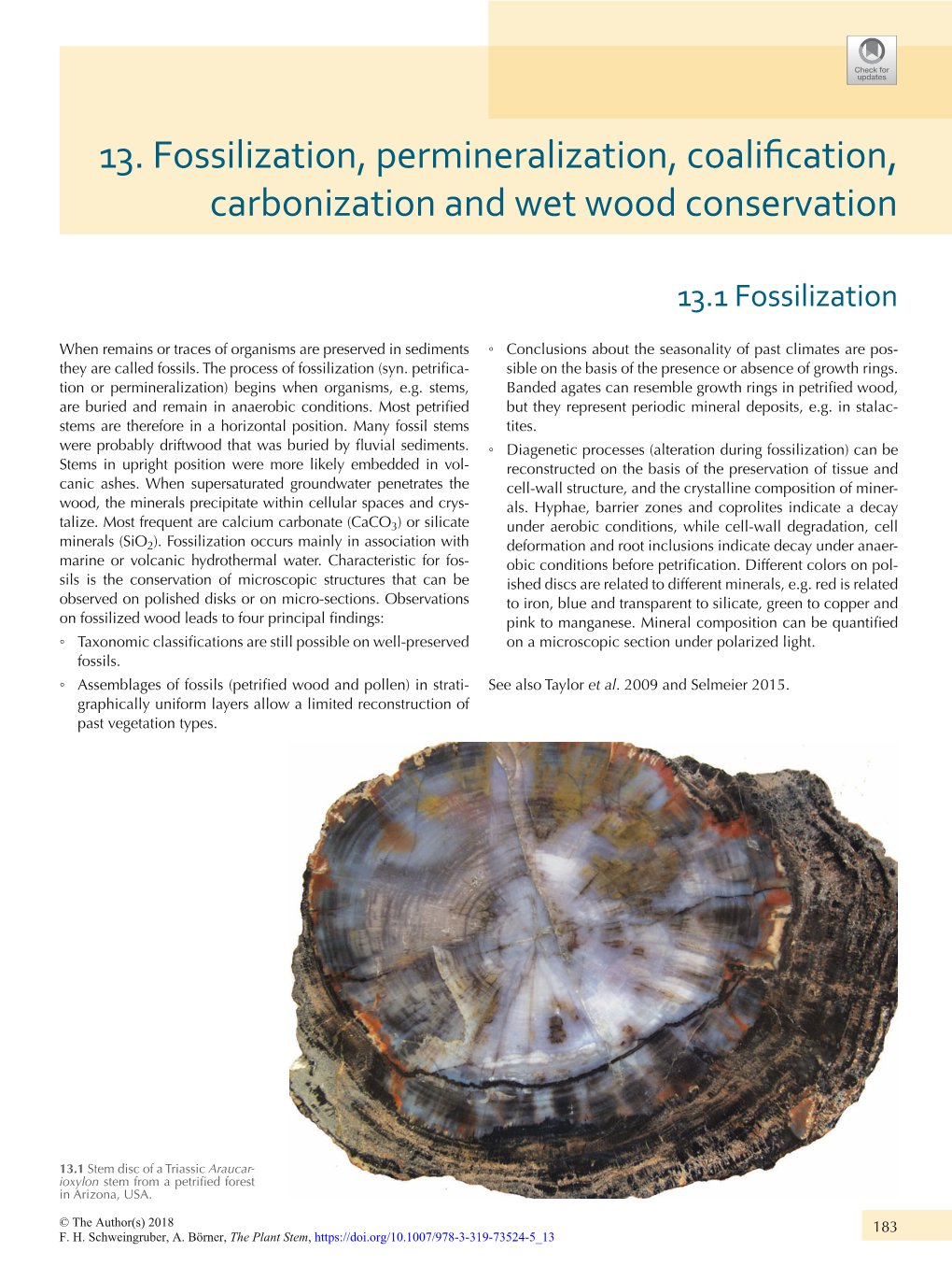 13. Fossilization, Permineralization, Есголƥегцлсрǡ Carbonization