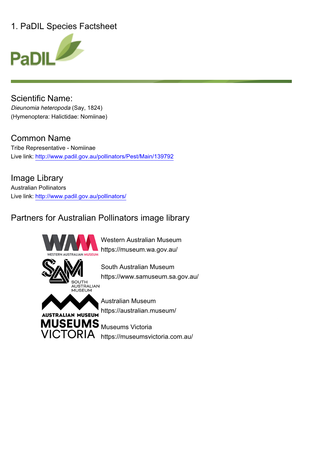 1. Padil Species Factsheet Scientific Name: Common Name Image