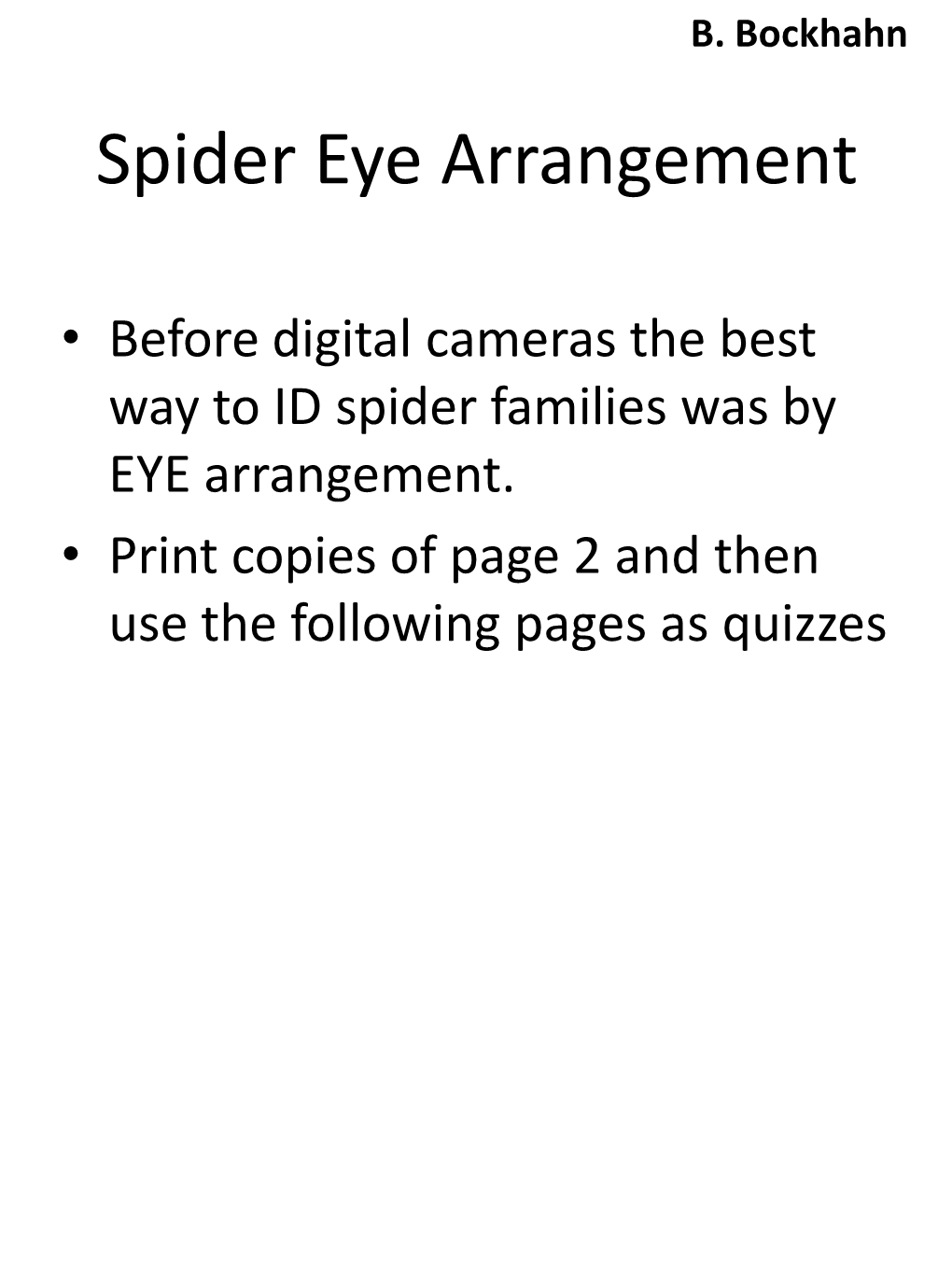Spider Eye Arrangement