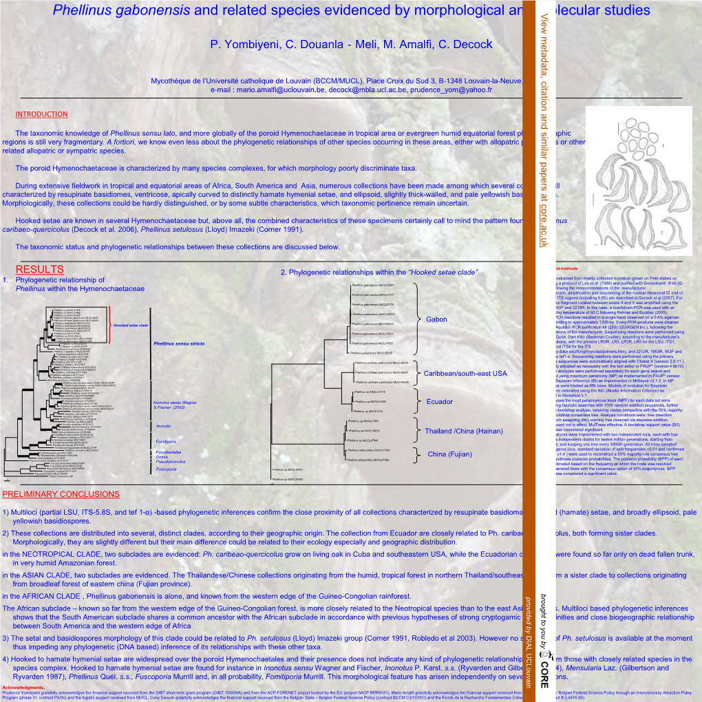 Phellinus Gabonensis and Related Species Evidenced by Morphological and Molecular Studies