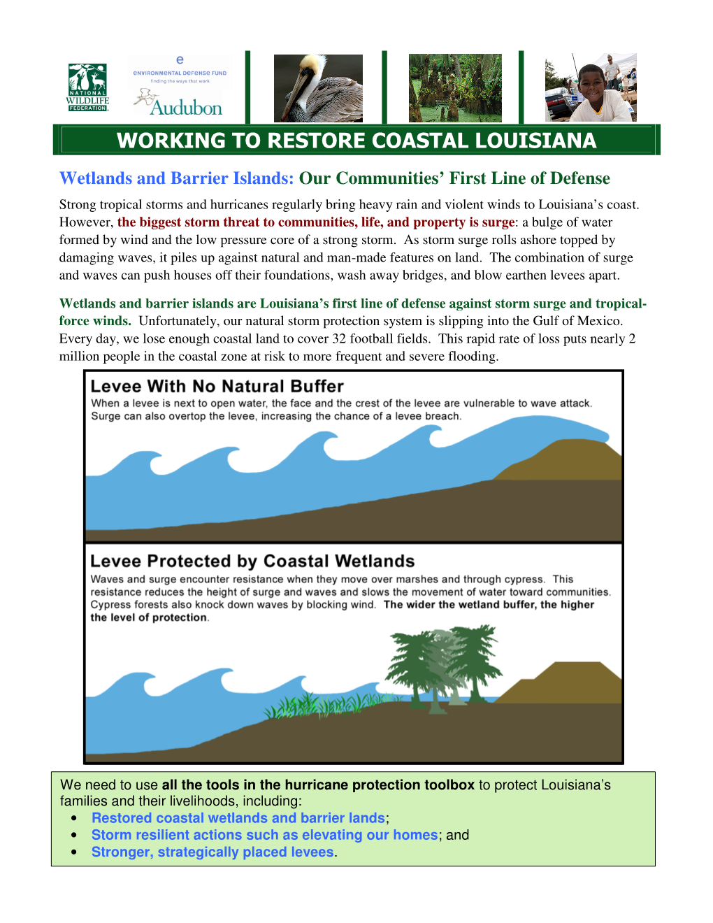 Wetlands and Storm Surge Fact Sheet 2009 03 24