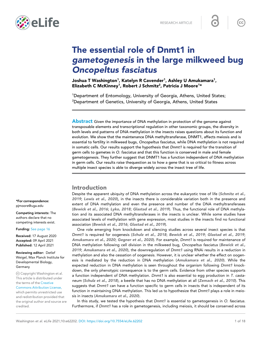 The Essential Role of Dnmt1 in Gametogenesis in the Large