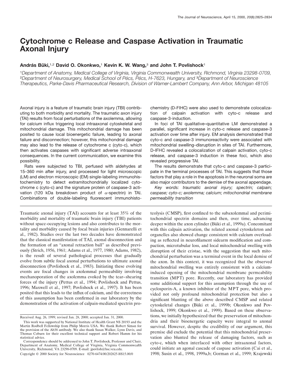 Cytochrome C Release and Caspase Activation in Traumatic Axonal Injury