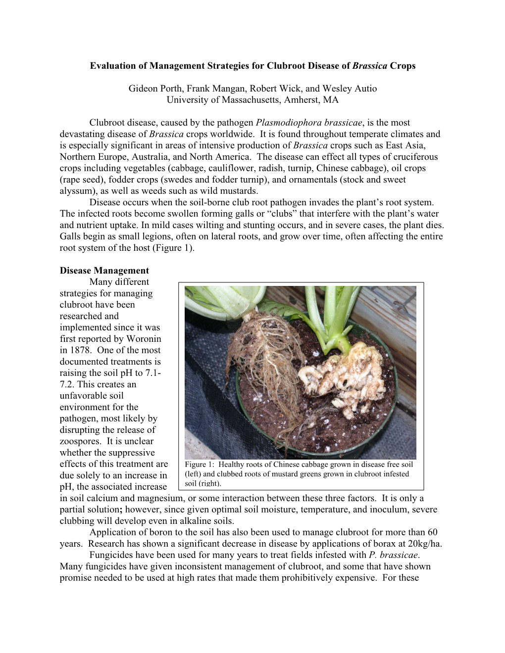 Evaluation of Management Strategies for Clubroot Disease of Brassica Crops
