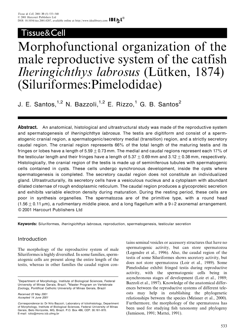 Morphofunctional Organization of the Male Reproductive System of the Catfish Iheringichthys Labrosus (Luètken, 1874) (Siluriformes:Pimelodidae)
