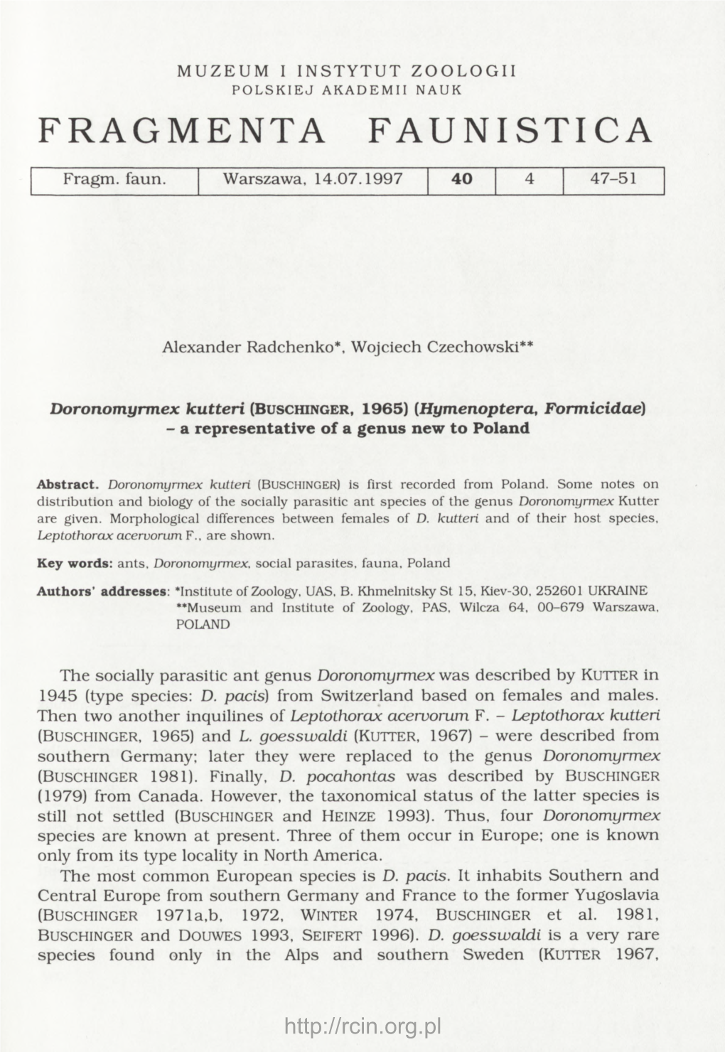 Doronomyrmex Kutteri (Buschinger, 1965) (Hymenoptera, Formicidae