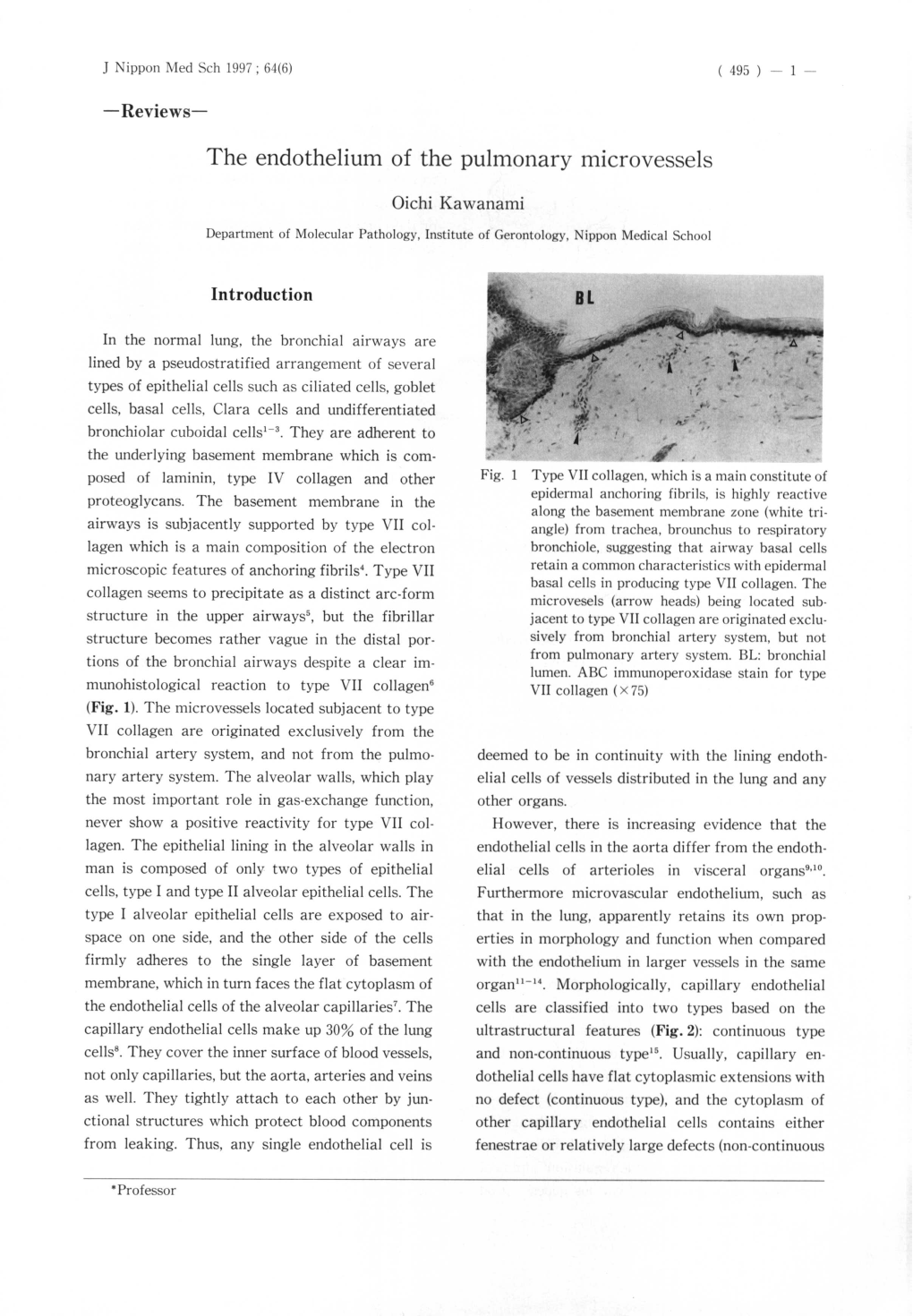 The Endothelium of the Pulmonary Microvessels