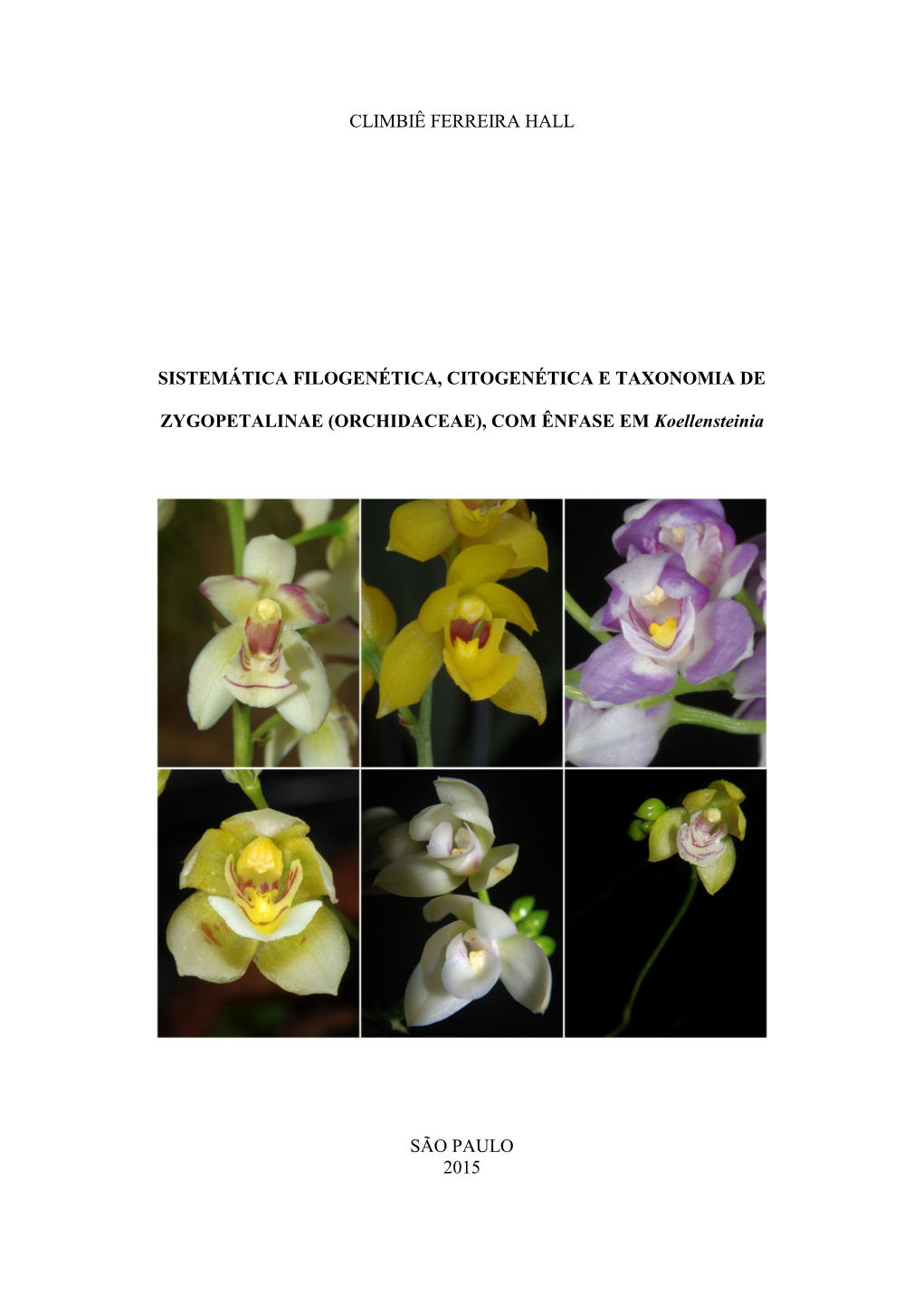 ORCHIDACEAE), COM ÊNFASE EM Koellensteinia