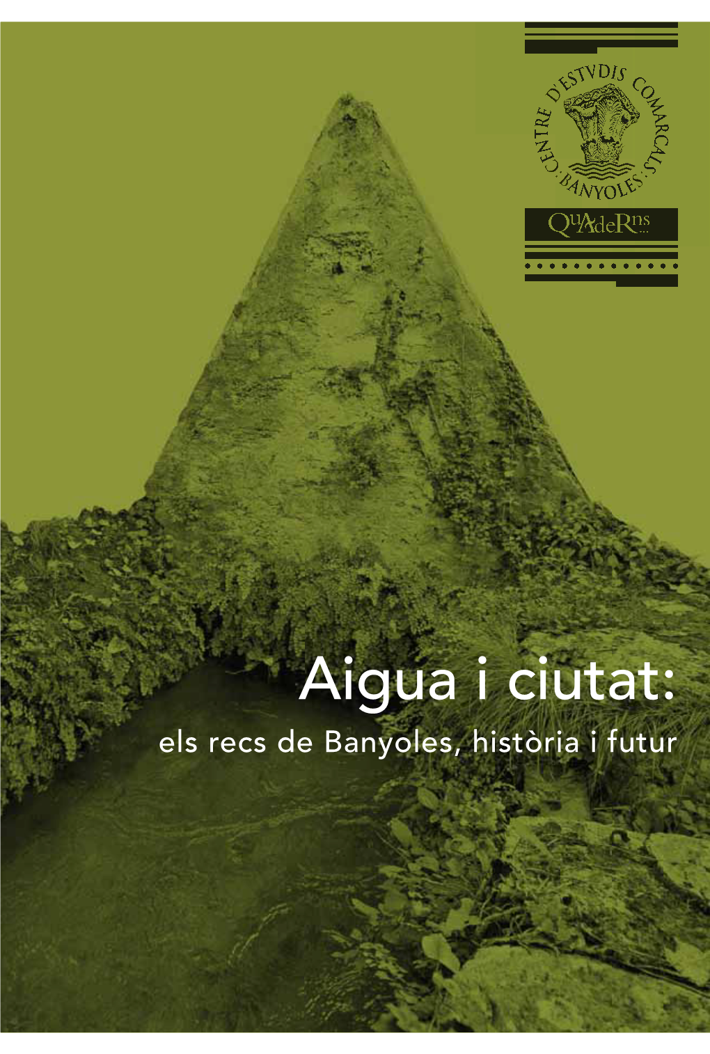 Aigua I Ciutat: Els Recs De Banyoles, Història I Futur Aigua I Ciutat: Els Recs De Banyoles, Història I Futur Banyoles, 2014