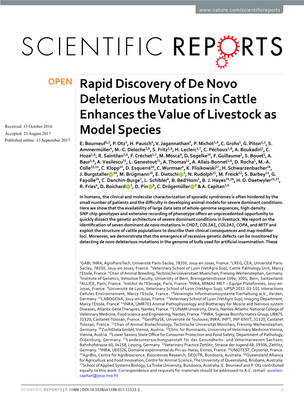 Rapid Discovery of De Novo Deleterious Mutations In