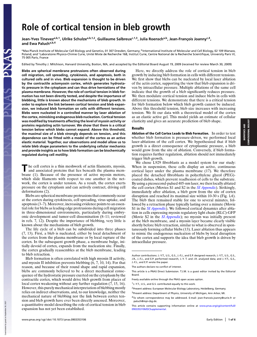 Role of Cortical Tension in Bleb Growth