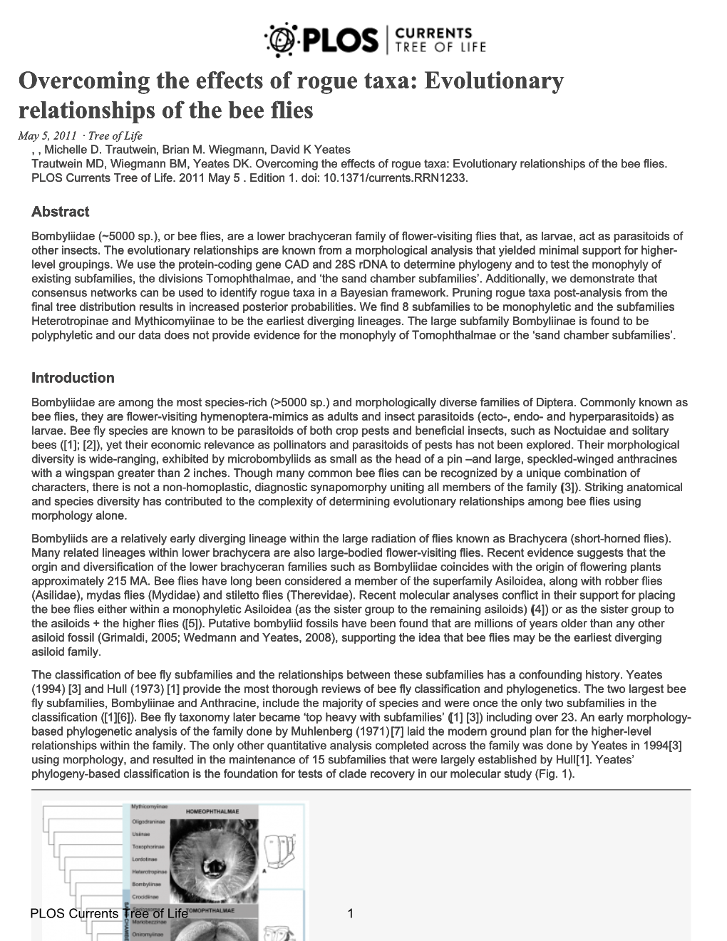 Evolutionary Relationships of the Bee Flies Œ PLOS