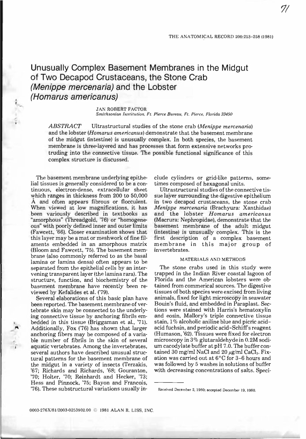 Unusually Complex Basement Membranes in the Midgut of Two Decapod Crustaceans, the Stone Crab (Menippe Mercenaria) and the Lobster (Homarus Americanus)