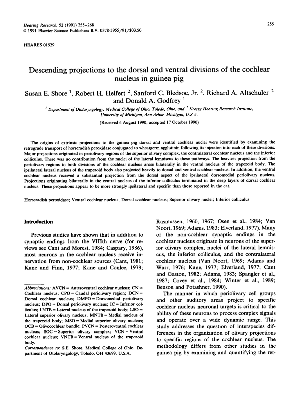 Descending Projections to the Dorsal and Ventral Divisions of the Cochlear Nucleus in Guinea Pig