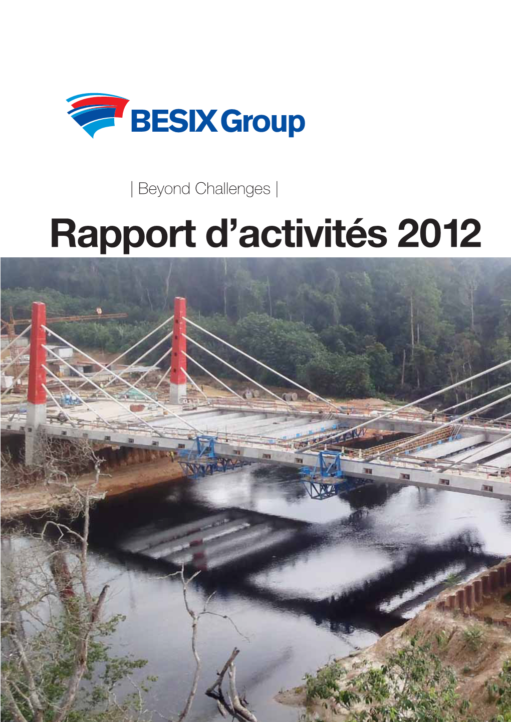 Rapport D'activités 2012