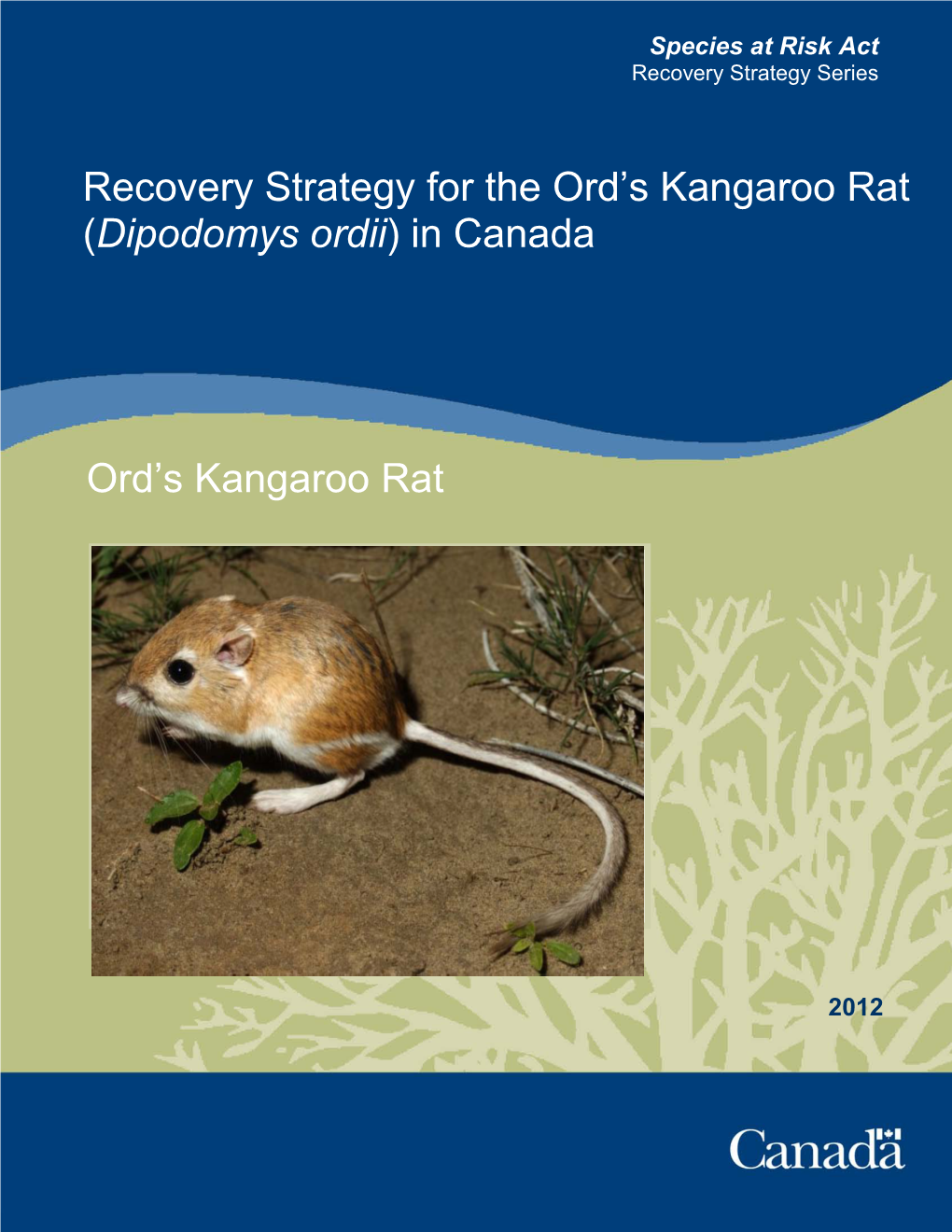 Recovery Strategy for the Ord's Kangaroo Rat (Dipodomys Ordii)