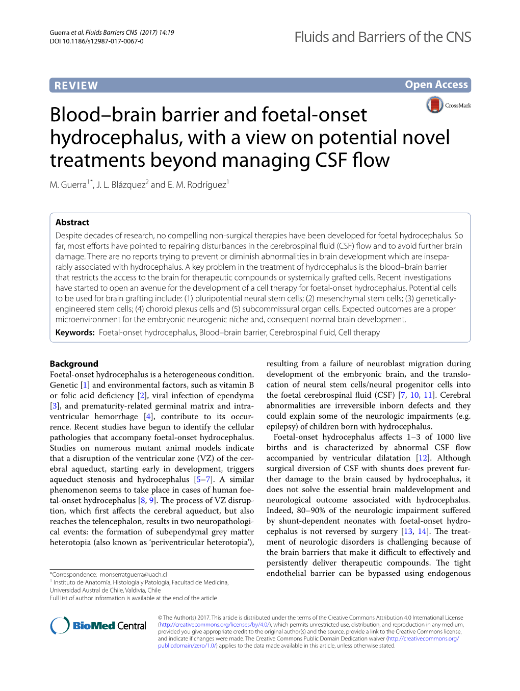 Blood–Brain Barrier and Foetal-Onset Hydrocephalus, with a View On