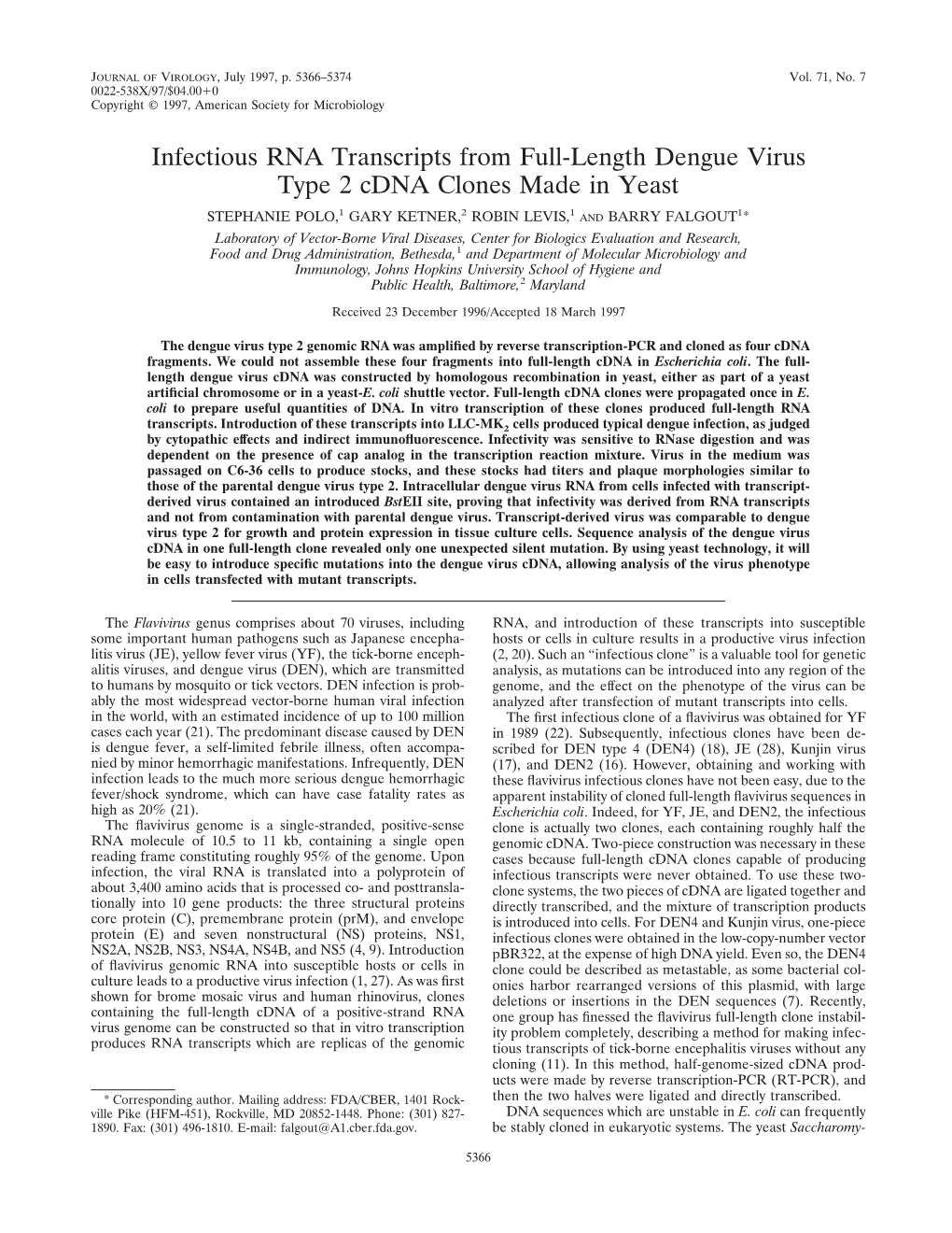 Infectious RNA Transcripts from Full-Length Dengue Virus Type 2 Cdna Clones Made in Yeast