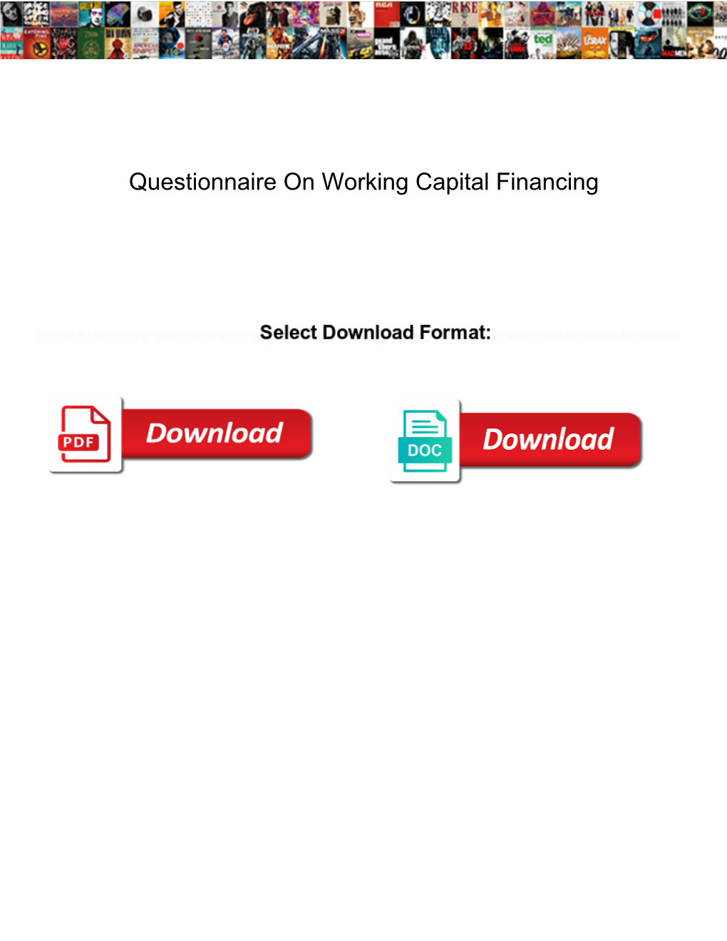 Questionnaire on Working Capital Financing