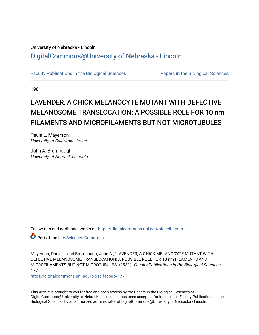 LAVENDER, a CHICK MELANOCYTE MUTANT with DEFECTIVE MELANOSOME TRANSLOCATION: a POSSIBLE ROLE for 10 Nm FILAMENTS and MICROFILAMENTS but NOT MICROTUBULES