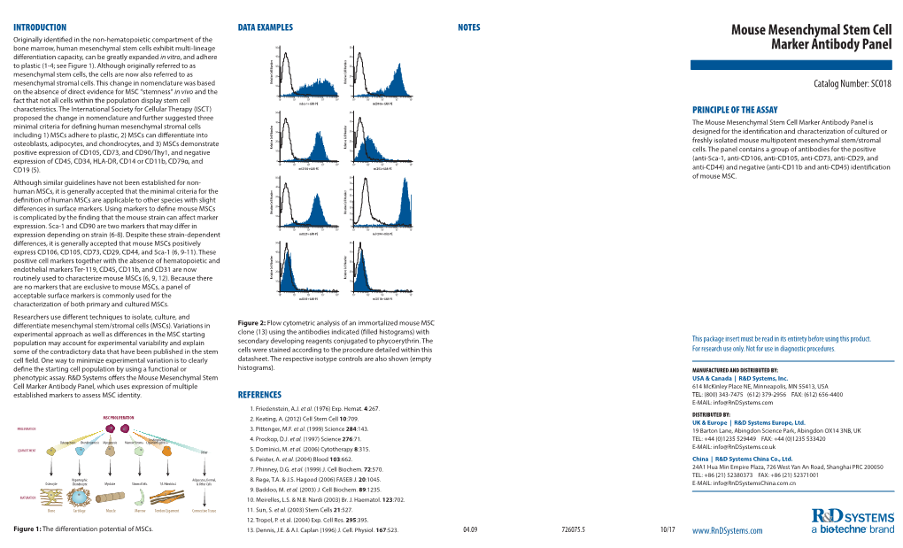 Mouse Mesenchymal Stem Cell Marker Antibody Panel