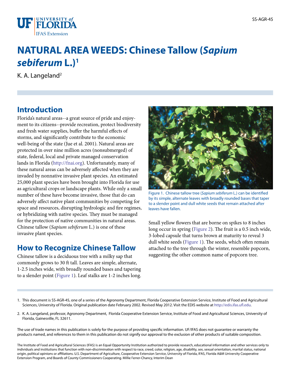 Chinese Tallow (Sapium Sebiferum L.)1 K