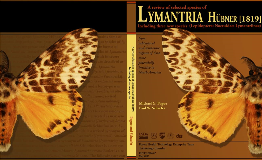 Lymantria (Nyctria) ﬂavida by Paul W