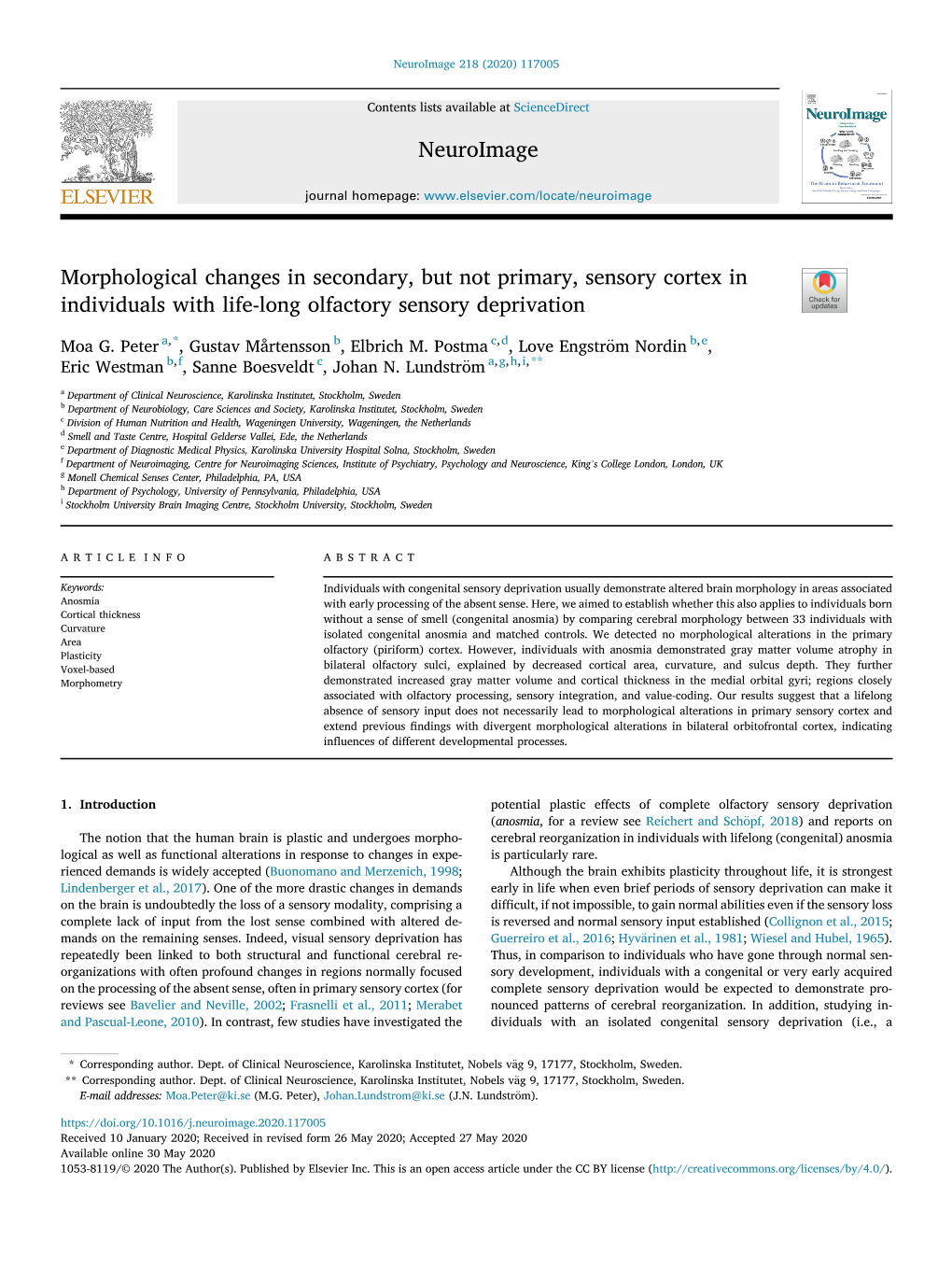 Morphological Changes in Secondary, but Not Primary, Sensory Cortex in Individuals with Life-Long Olfactory Sensory Deprivation