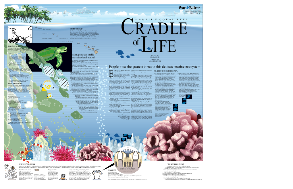 People Pose the Gre Atest Thre at to This Delicate Marine Ecosystem