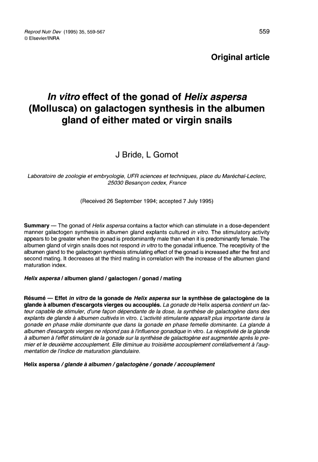 (Mollusca) on Galactogen Synthesis in the Albumen Gland of Either Mated Or Virgin Snails