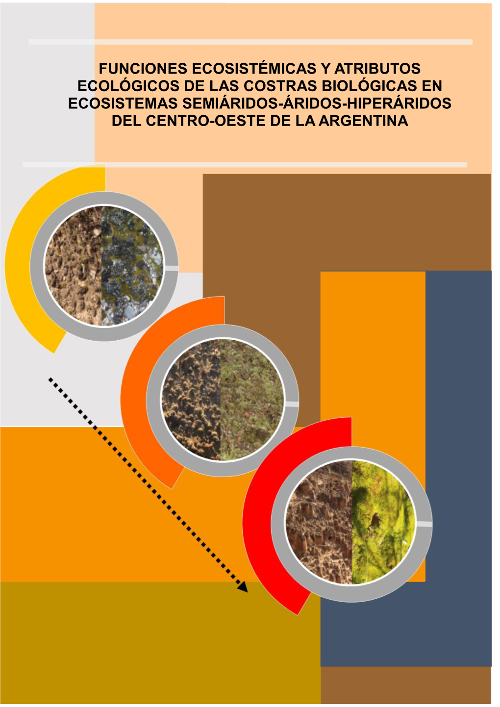 Funciones Ecosistémicas Y Atributos Ecológicos De Las Costras Biológicas En Ecosistemas Semiáridos-Áridos-Hiperáridos Del Centro-Oeste De La Argentina