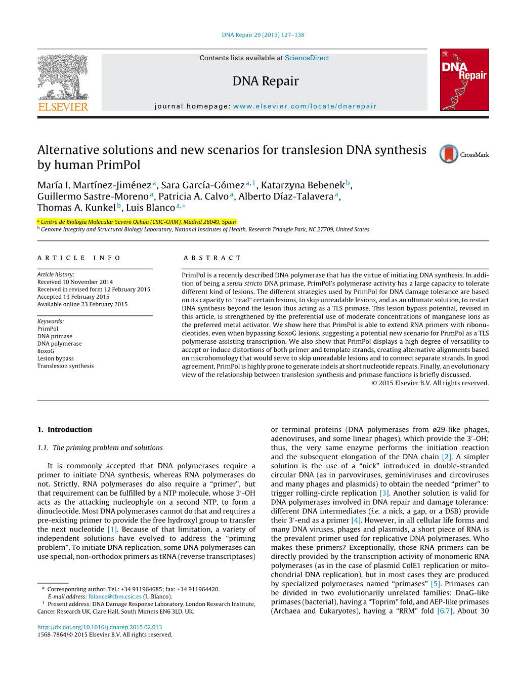 Alternative Solutions and New Scenarios for Translesion DNA Synthesis by Human Primpol