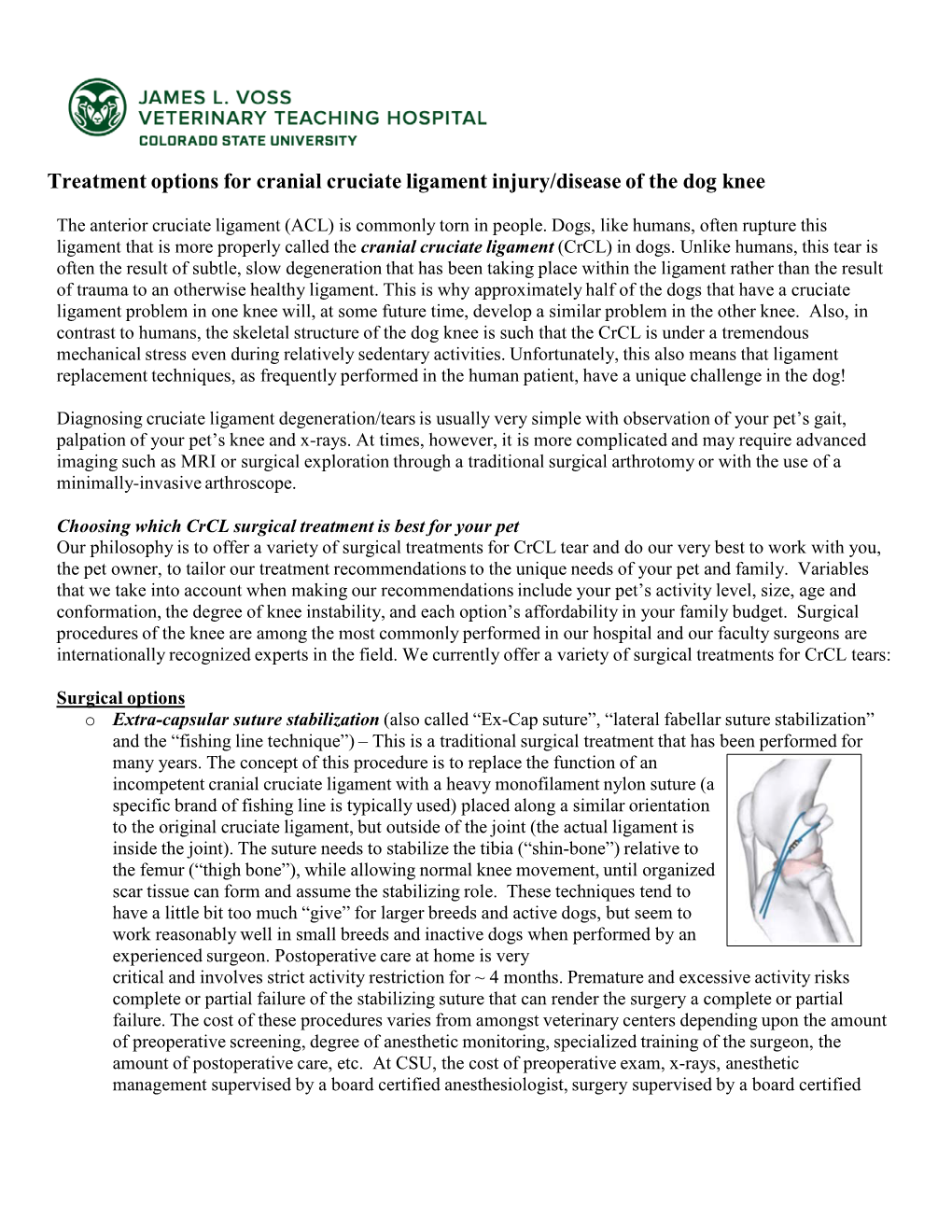 Treatment Options for Cranial Cruciate Ligament Injury/Disease of the Dog Knee