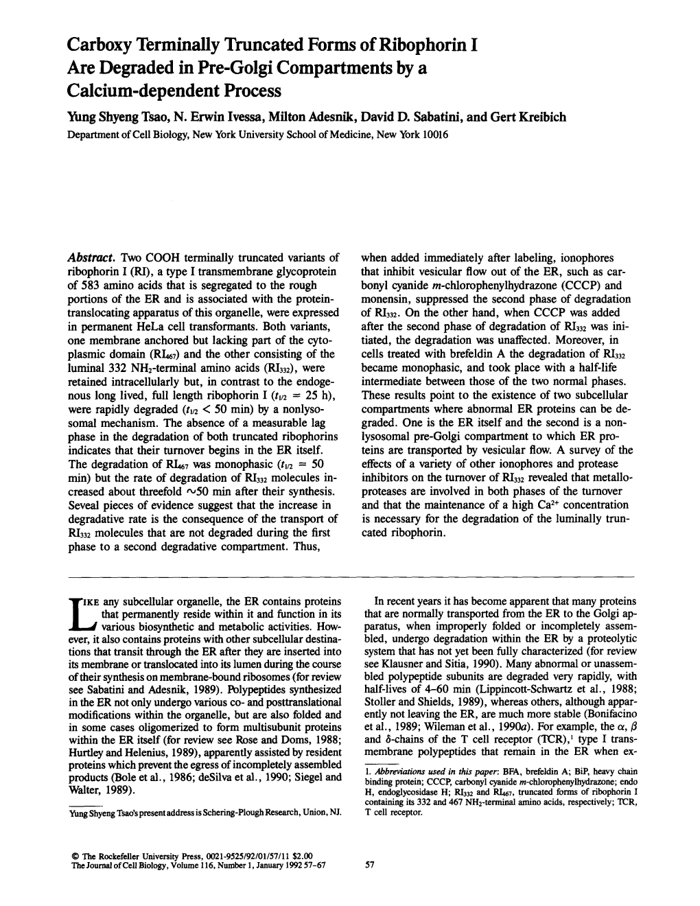 Carboxy Terminally Truncated Forms of Ribophorin I Are Degraded in Pre-Golgi Compartments by a Calcium-Dependent Process Yung Shyeng Tsao, N