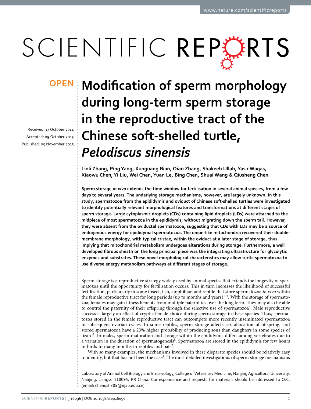 Modification of Sperm Morphology During Long-Term Sperm Storage In