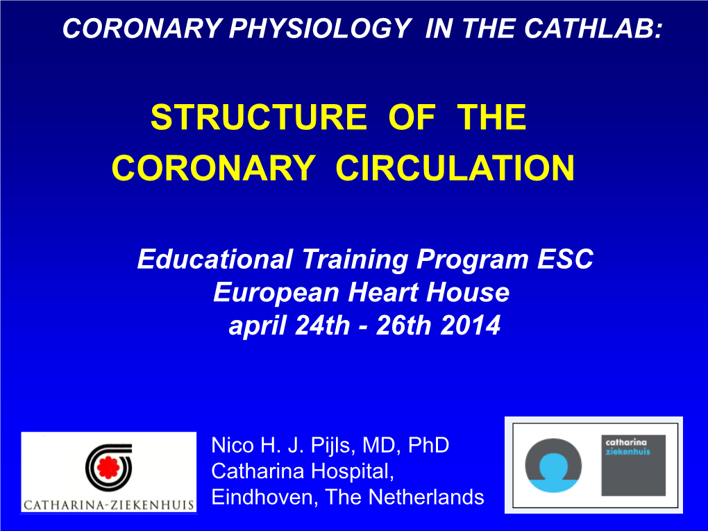 Structure of the Coronary Circulation