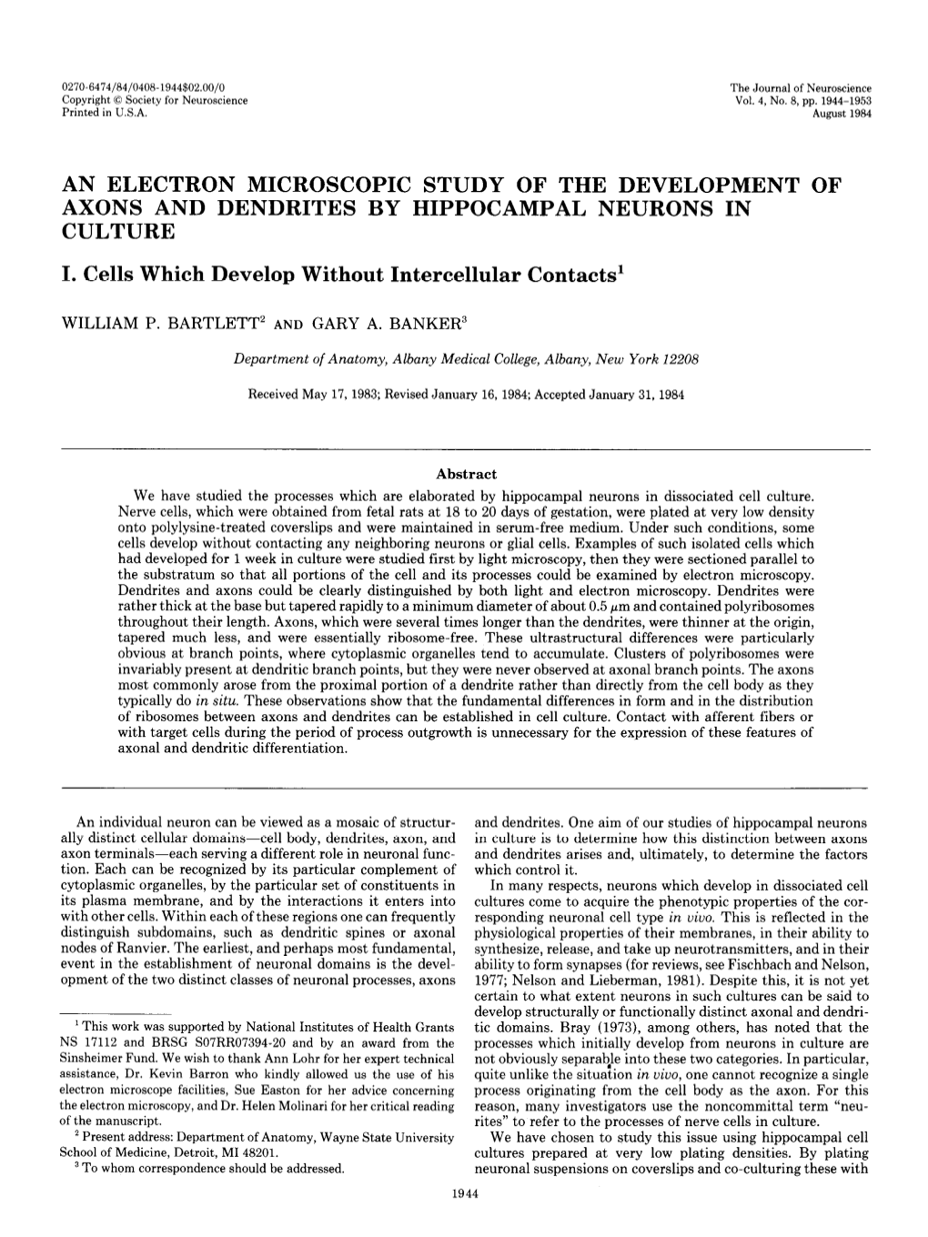 AN ELECTRON MICROSCOPIC STUDY of the DEVELOPMENT of AXONS and DENDRITES by HIPPOCAMPAL NEURONS in CULTURE I. Cells Which Develop