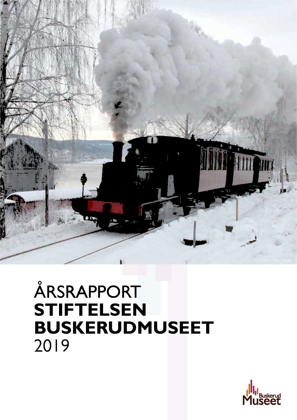Årsrapport Stiftelsen Buskerudmuseet 201 9