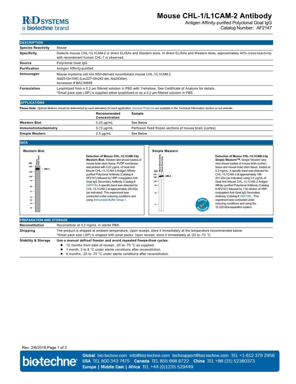 Mouse CHL-1/L1CAM-2 Antibody Antigen Affinity-Purified Polyclonal Goat Igg Catalog Number: AF2147