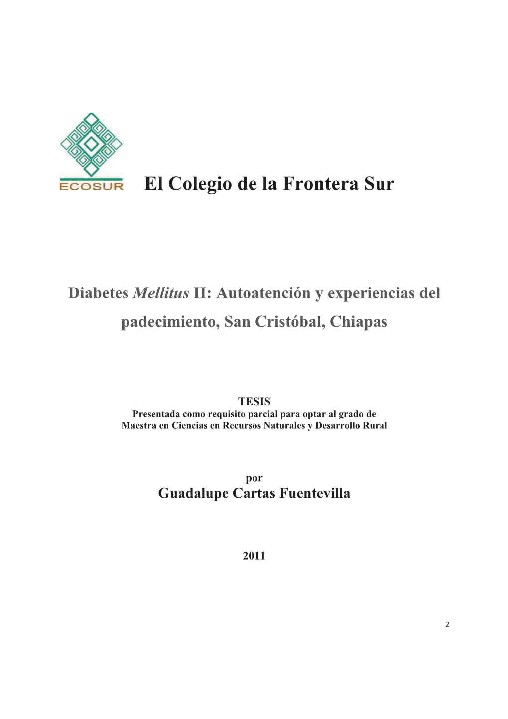 Diabetes Mellitus II: Autoatención Y Experiencias Del Padecimiento, San Cristóbal, Chiapas