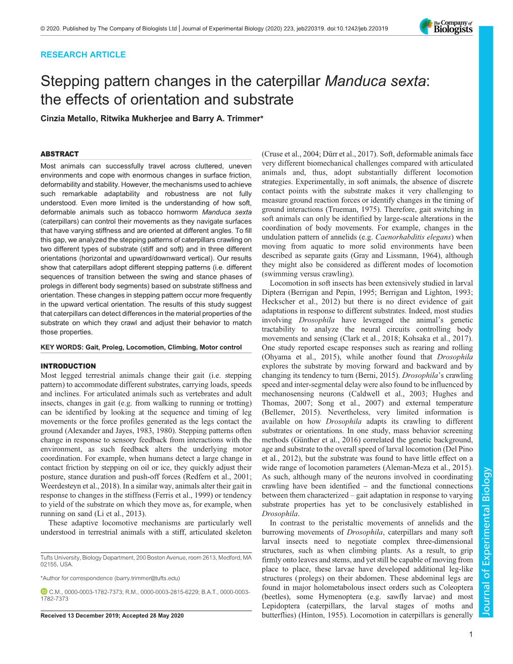 Stepping Pattern Changes in the Caterpillar Manduca Sexta: the Effects of Orientation and Substrate Cinzia Metallo, Ritwika Mukherjee and Barry A