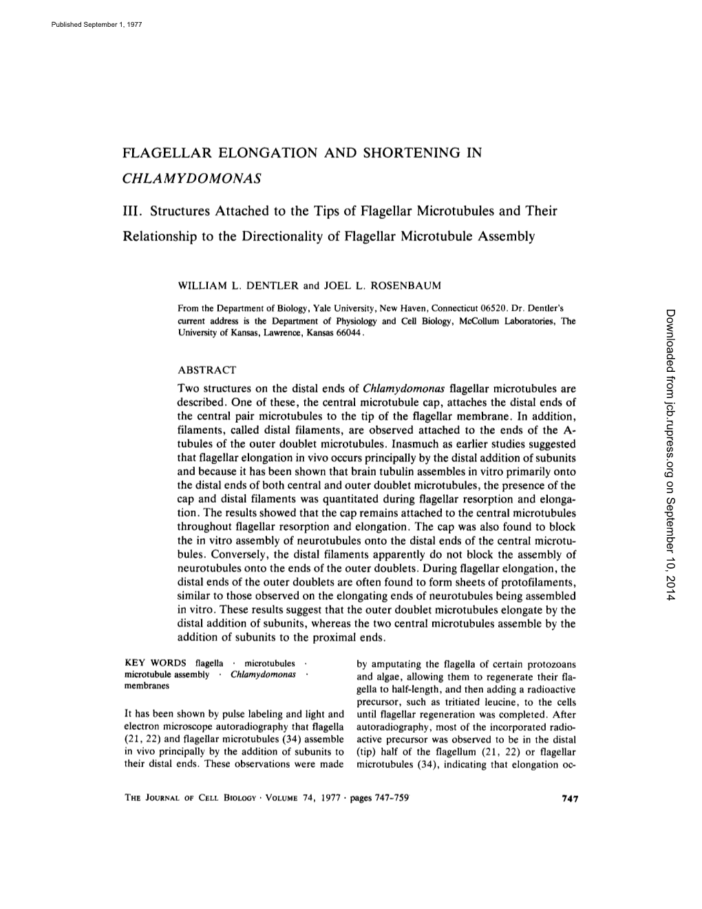 Relationship to the Directionality of Flagellar Microtubule Assembly