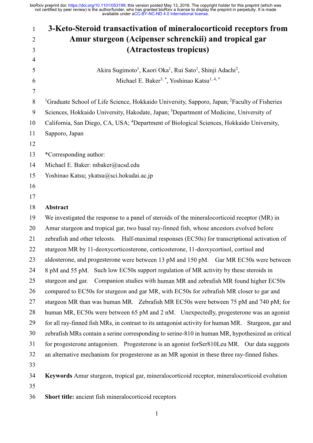 3-Keto-Steroid Transactivation of Mineralocorticoid