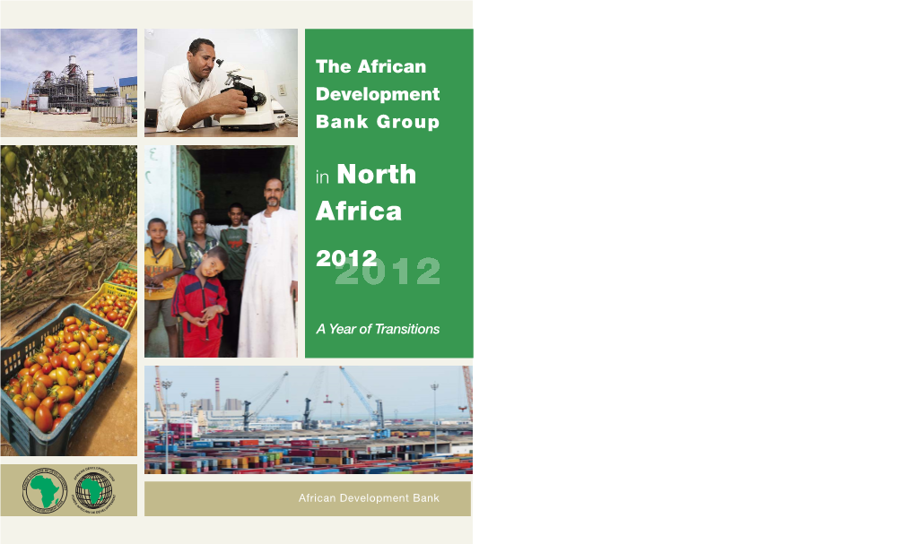 The Afdb Group in North Africa 2012