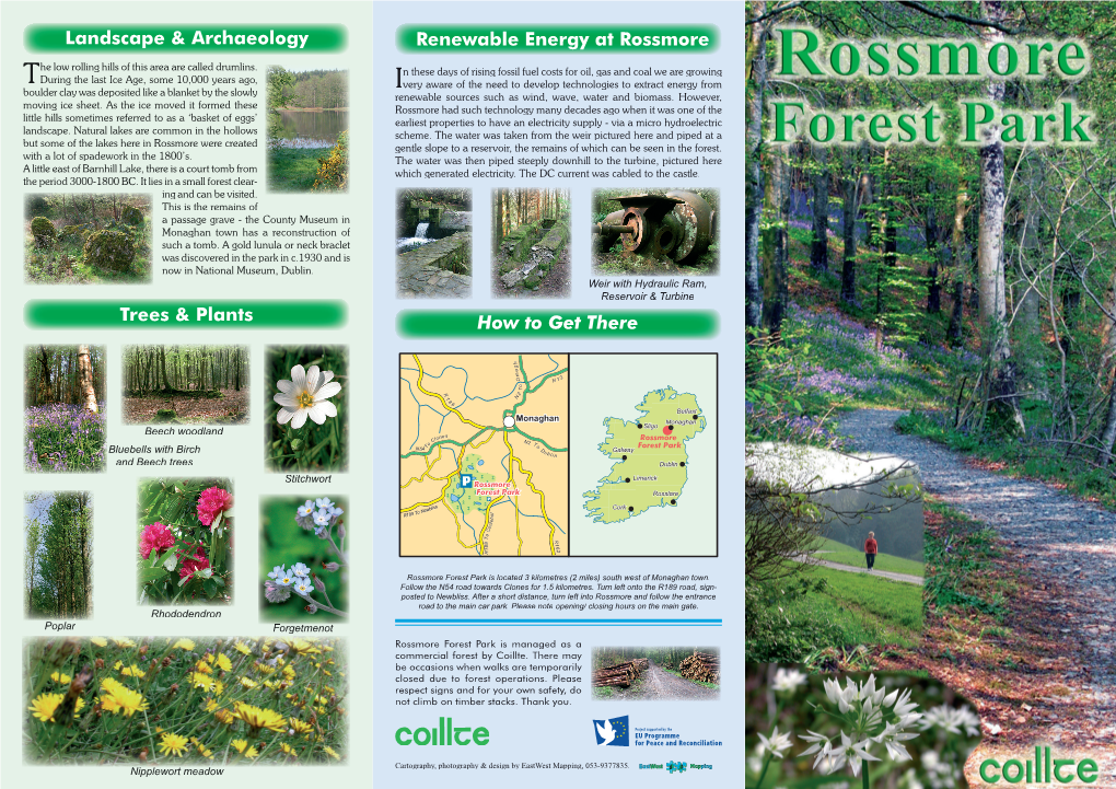 Rossmore Park Walks