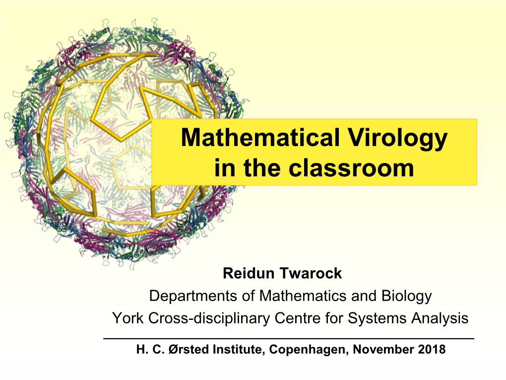 Assembly Models for Viral Capsids Based on Tiling Theory