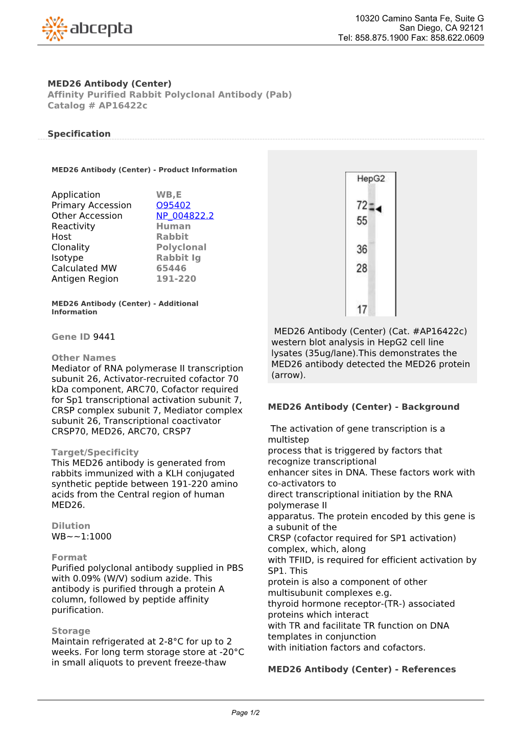 MED26 Antibody (Center) Affinity Purified Rabbit Polyclonal Antibody (Pab) Catalog # Ap16422c