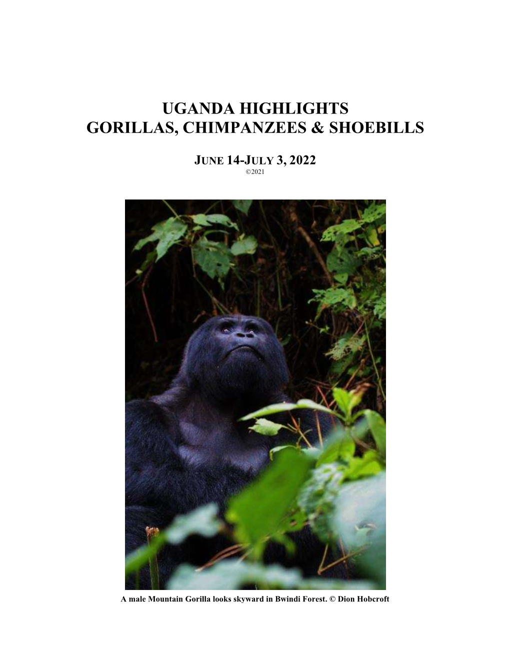 Uganda Highlights Gorillas, Chimpanzees & Shoebills