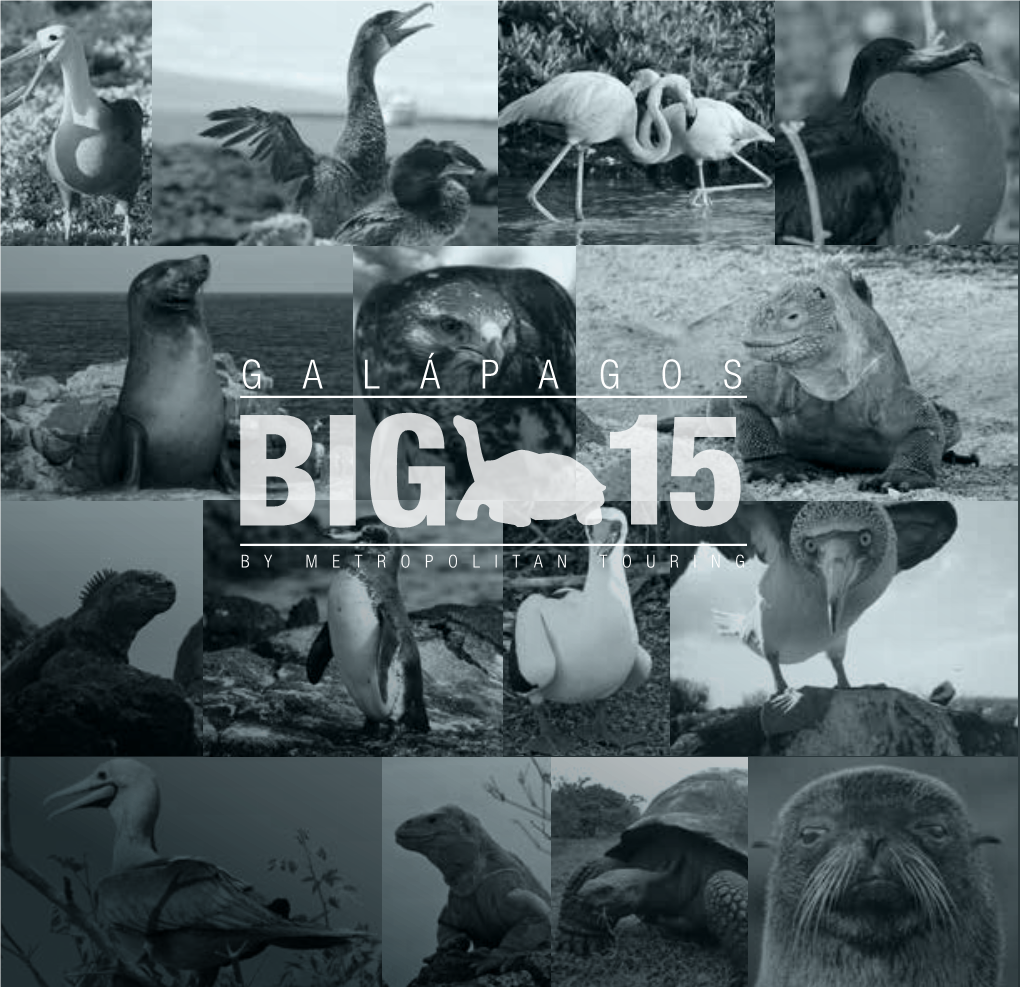 Galapagos Big 15.Pdf