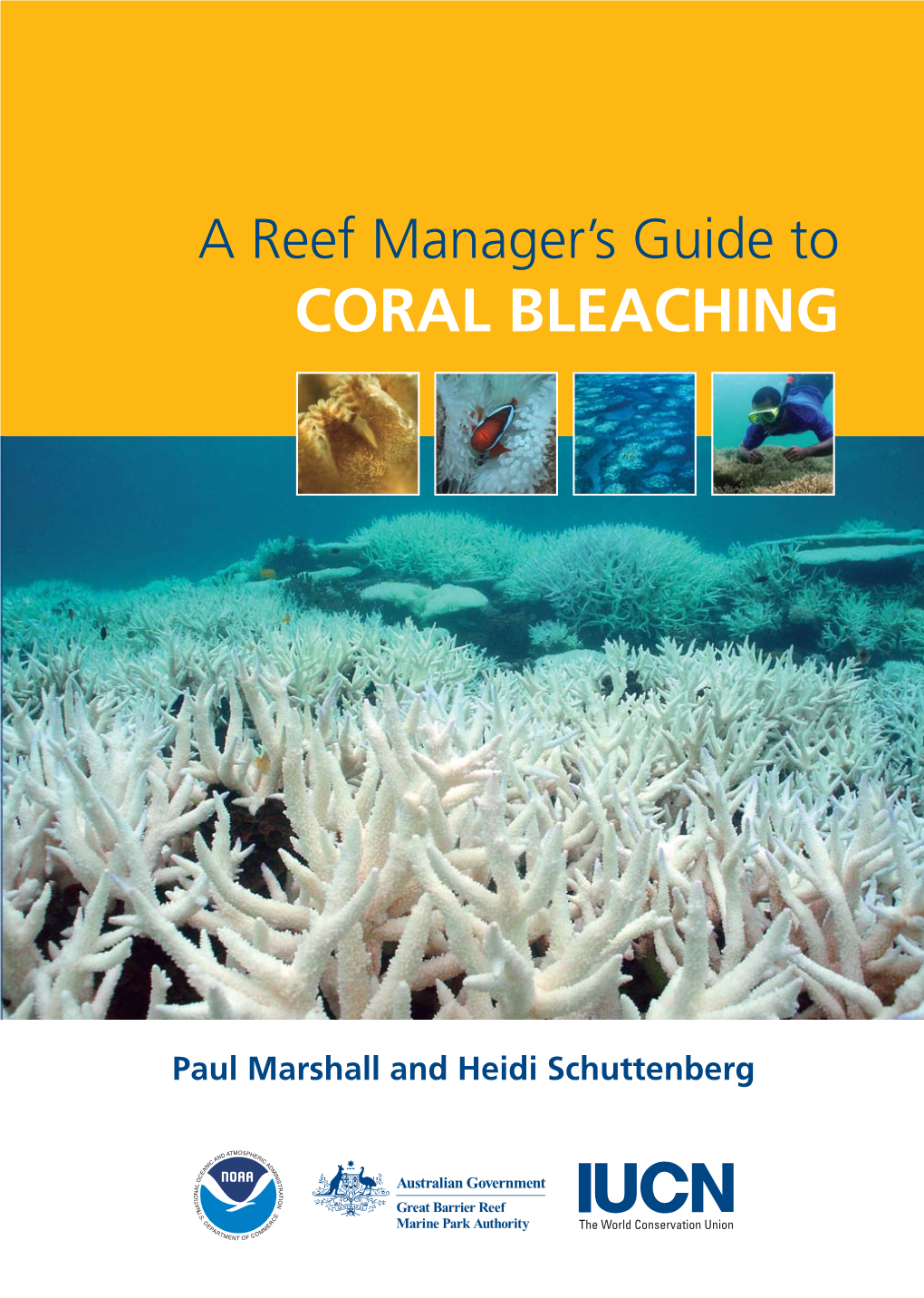 Reef Manager's Guide to Coral Bleaching